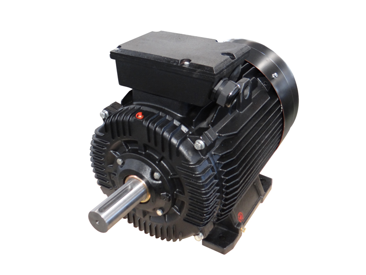 D2MP系列变频调速专用三相异步电机