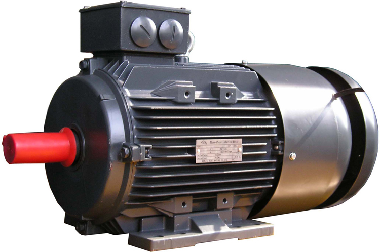 D2ML系列一般过程用铝壳三相异步电机